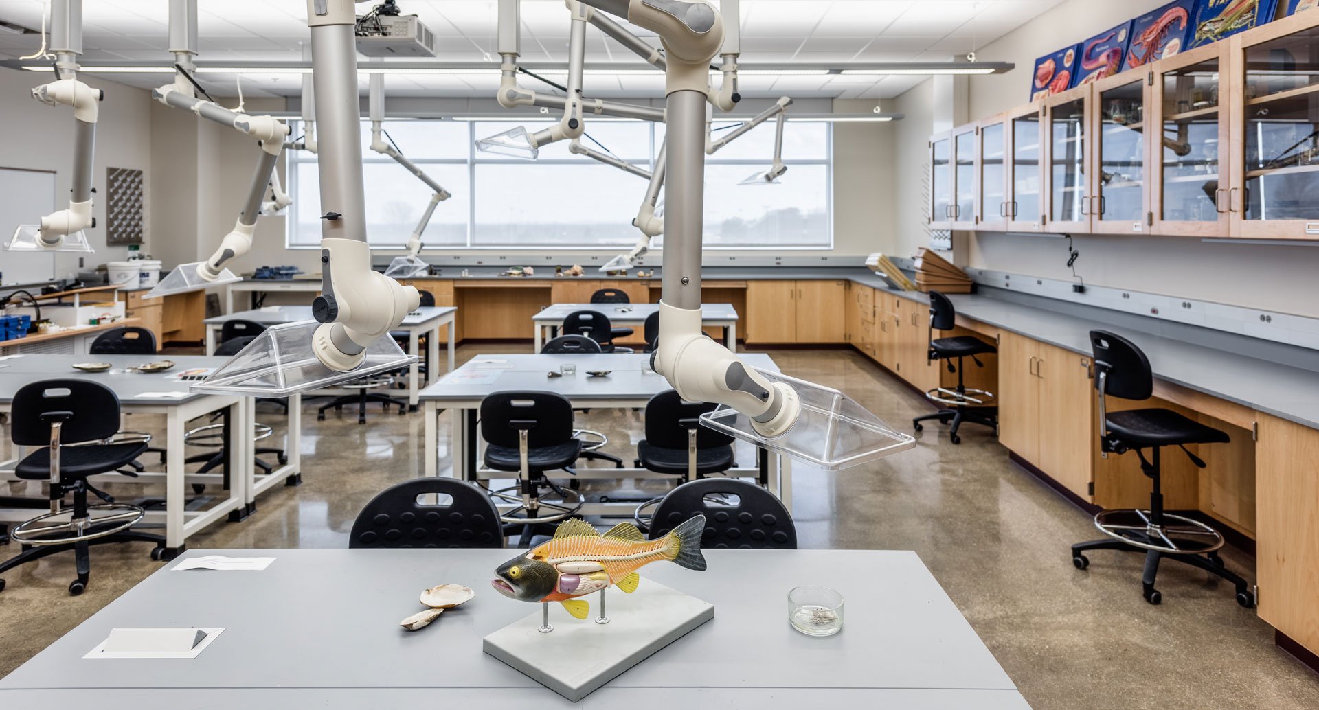 Hera-Zoology Lab